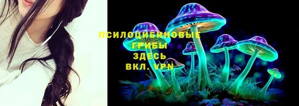 герыч Арсеньев