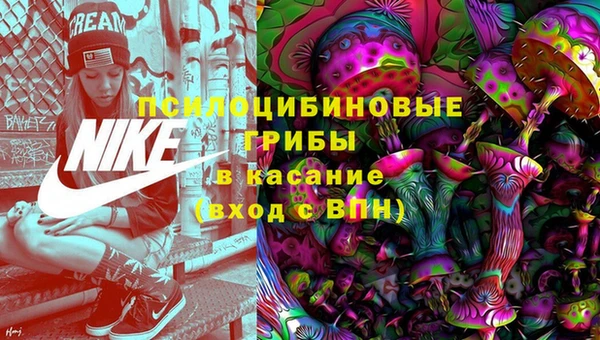 ПСИЛОЦИБИНОВЫЕ ГРИБЫ Армянск